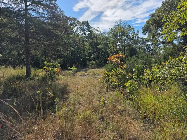 $84,500 | 0 Southwest 54th Highway, Osceola, MO 64776