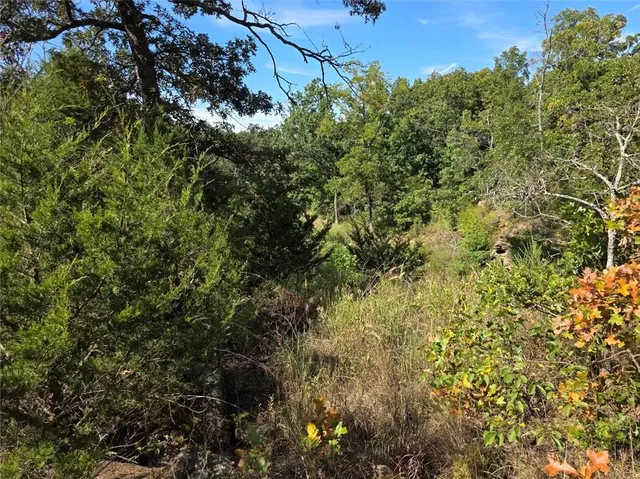 $84,500 | 0 Southwest 54th Highway, Osceola, MO 64776