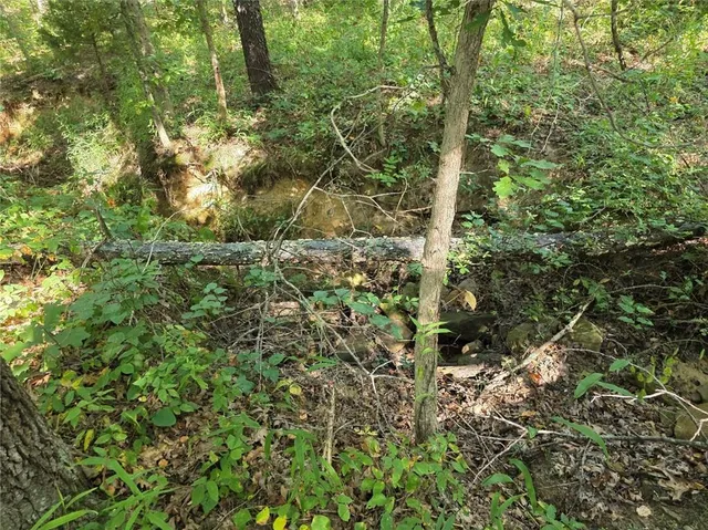 $84,500 | 0 Southwest 54th Highway, Osceola, MO 64776