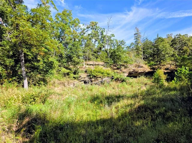 $84,500 | 0 Southwest 54th Highway, Osceola, MO 64776