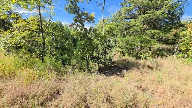 $84,500 | 0 Southwest 54th Highway, Osceola, MO 64776