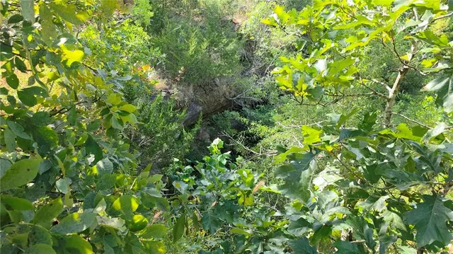 $84,500 | 0 Southwest 54th Highway, Osceola, MO 64776