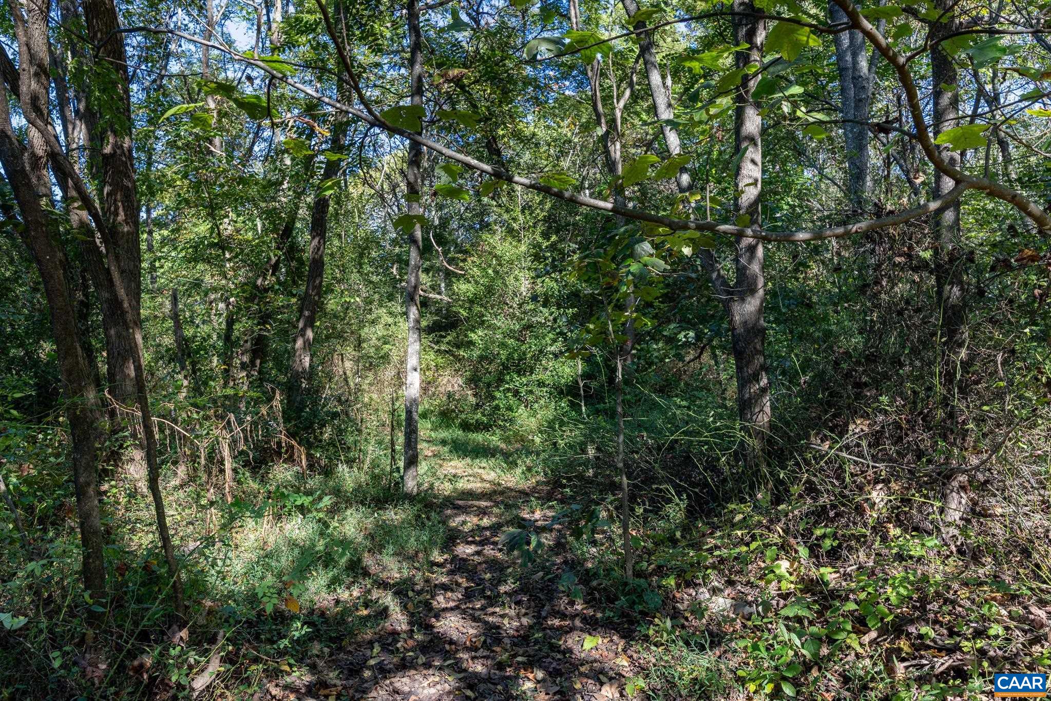 Orange Road Pratts, VA 22731 - Photo 2 of 32