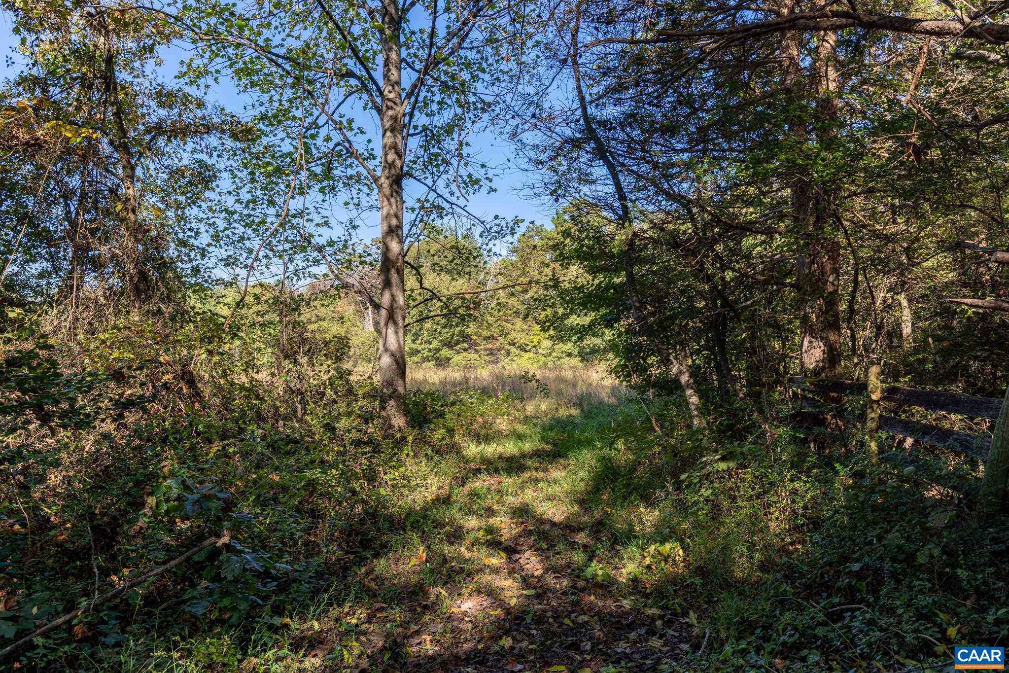 Orange Road Pratts, VA 22731 - Photo 4 of 32 a view of a tree in a yard