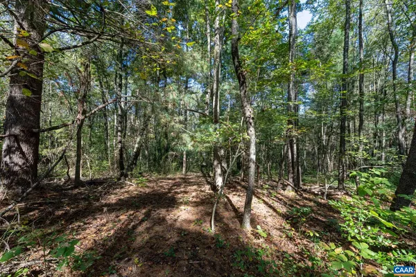 a view of outdoor space and trees