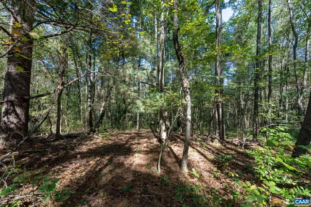 a view of outdoor space and green space
