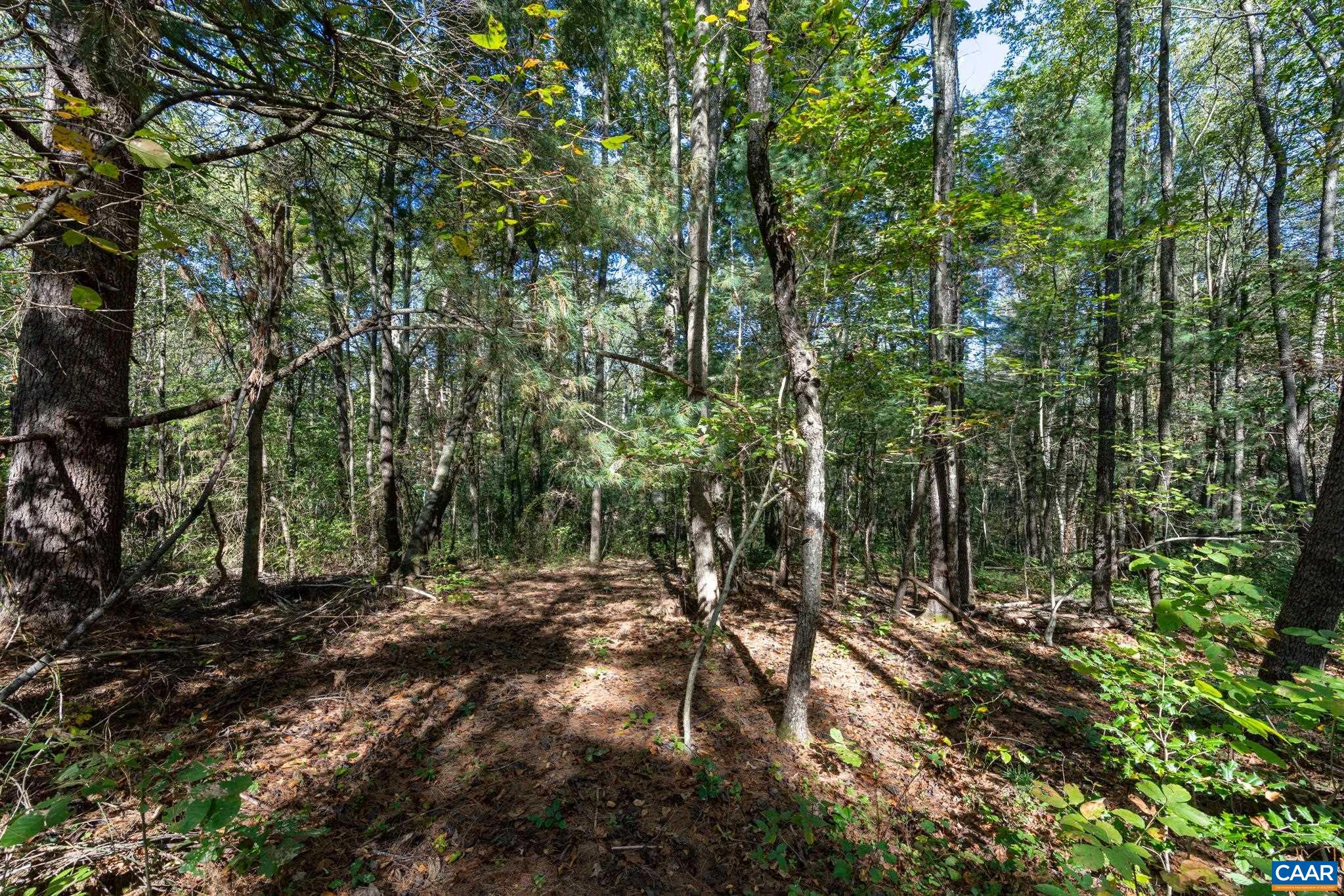 Orange Road Pratts, VA 22731 - Photo 5 of 32 a view of outdoor space and trees