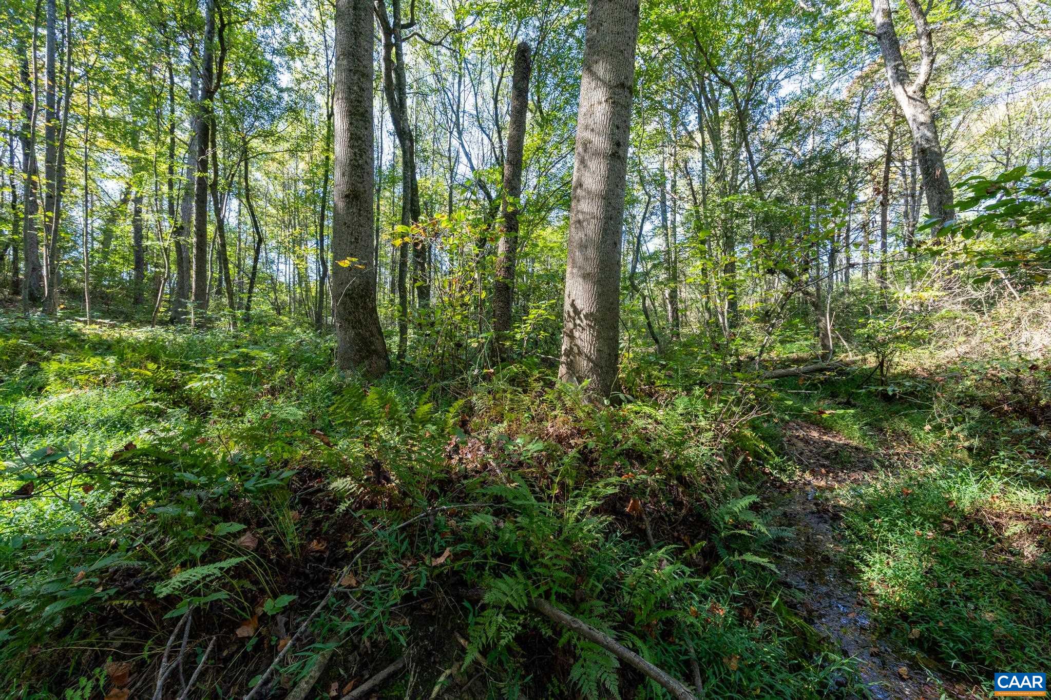 Orange Road Pratts, VA 22731 - Photo 7 of 32