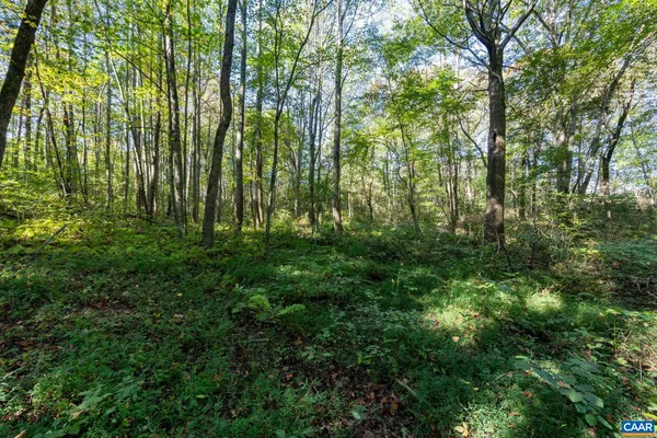 a view of outdoor space and green space