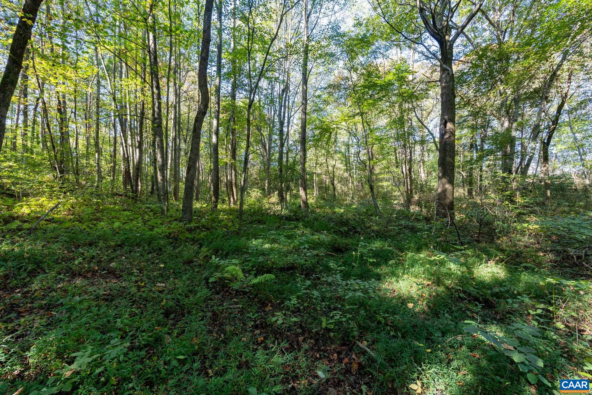 Orange Road Pratts, VA 22731 - Photo 8 of 32 a view of a garden