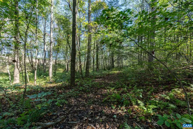 an aerial view of a houses with a lake view