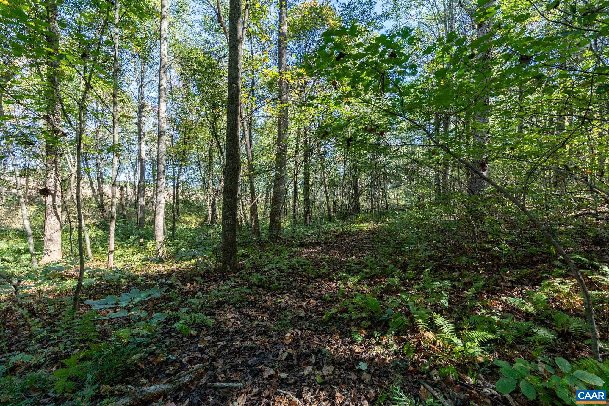 Orange Road Pratts, VA 22731 - Photo 9 of 32 a view of outdoor space and green space