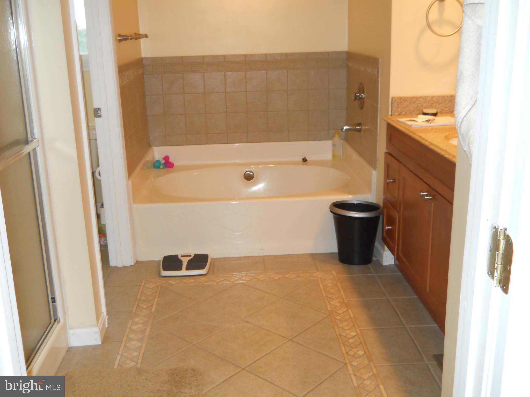 227 Hitching Post Drive Rising Sun, MD 21911 - Photo 14 of 26 a bathroom with a bathtub