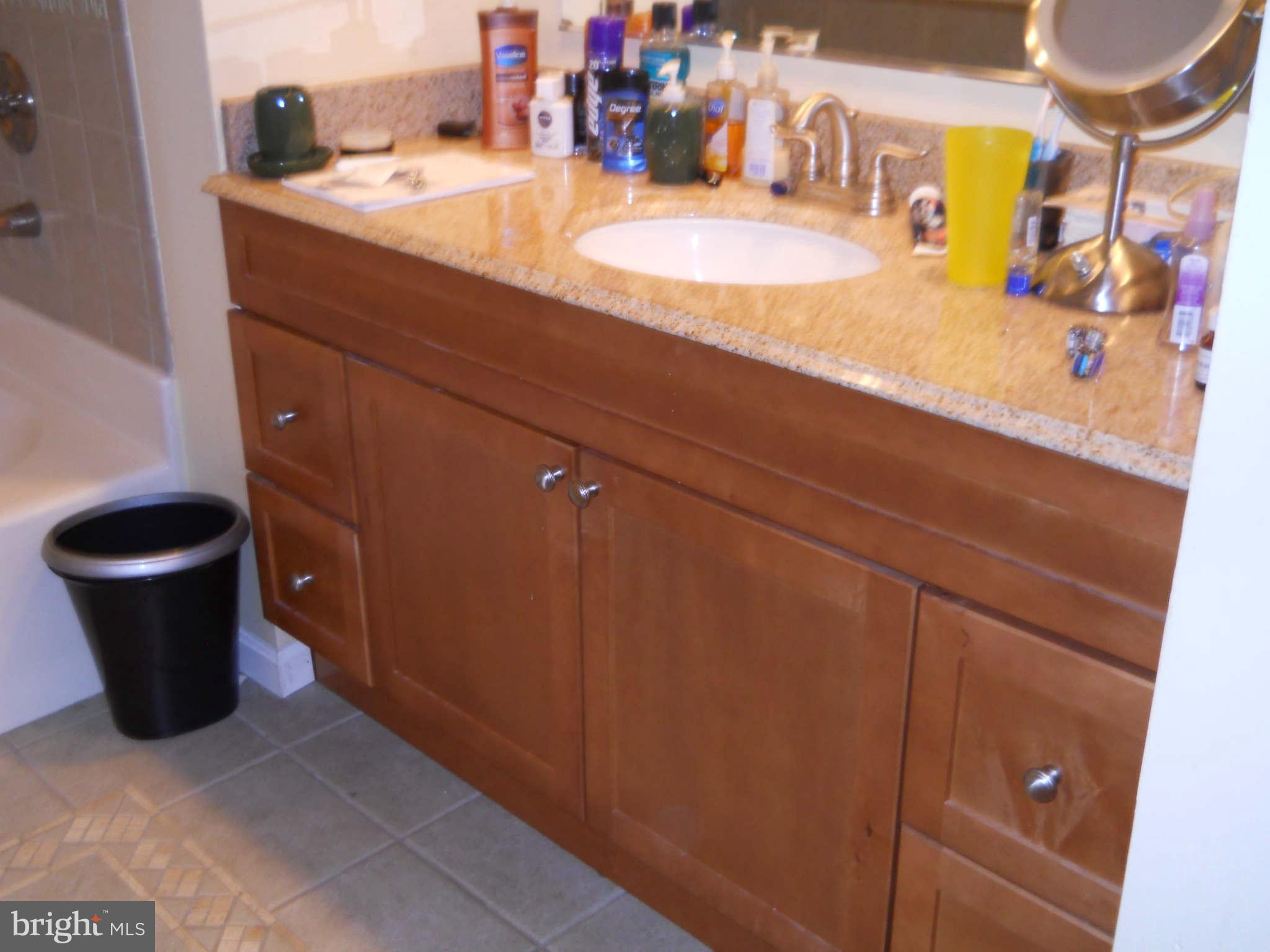 227 Hitching Post Drive Rising Sun, MD 21911 - Photo 15 of 26 a bathroom with a sink and a mirror