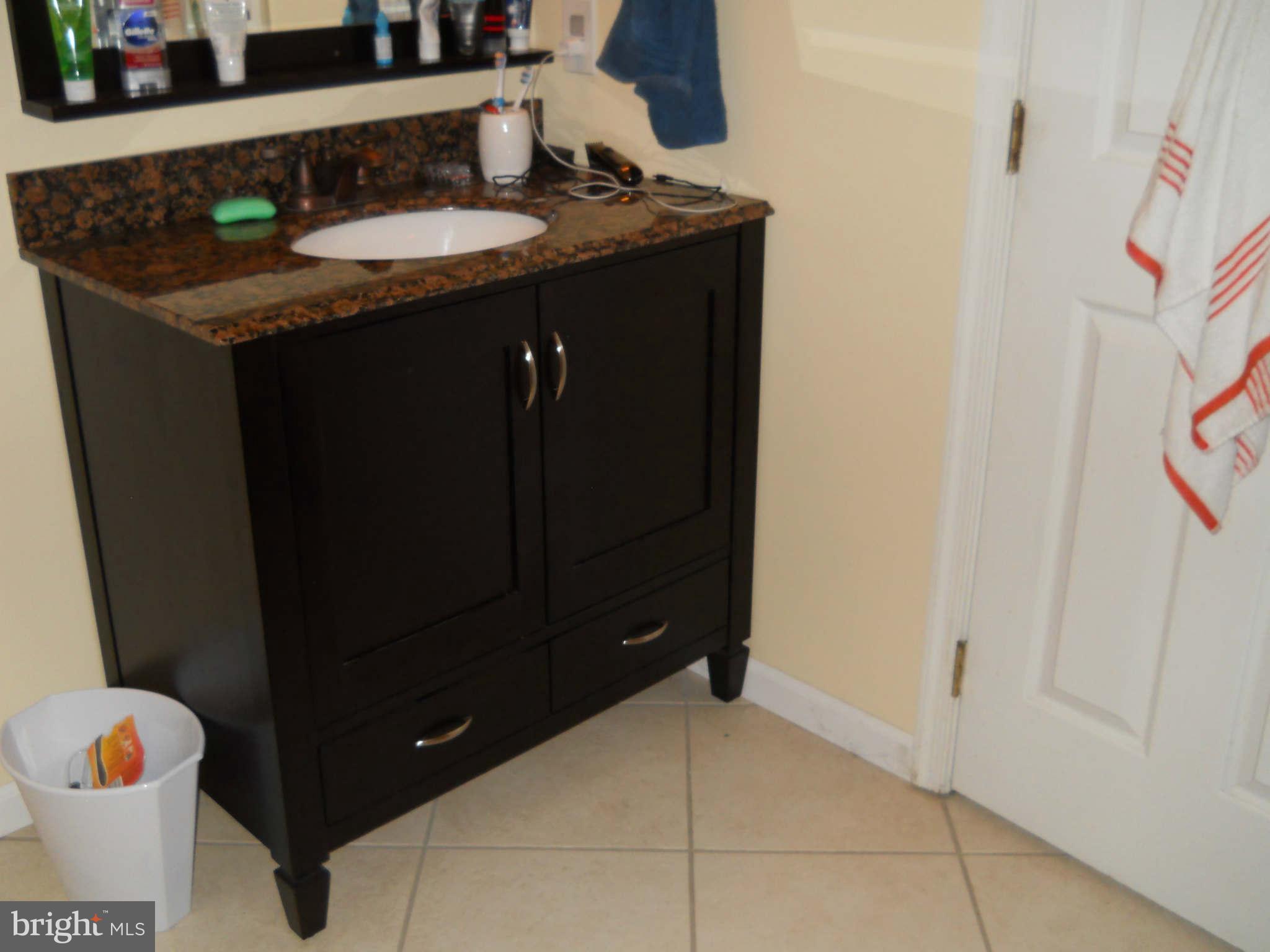 227 Hitching Post Drive Rising Sun, MD 21911 - Photo 21 of 26 a bathroom with a granite countertop sink and a mirror
