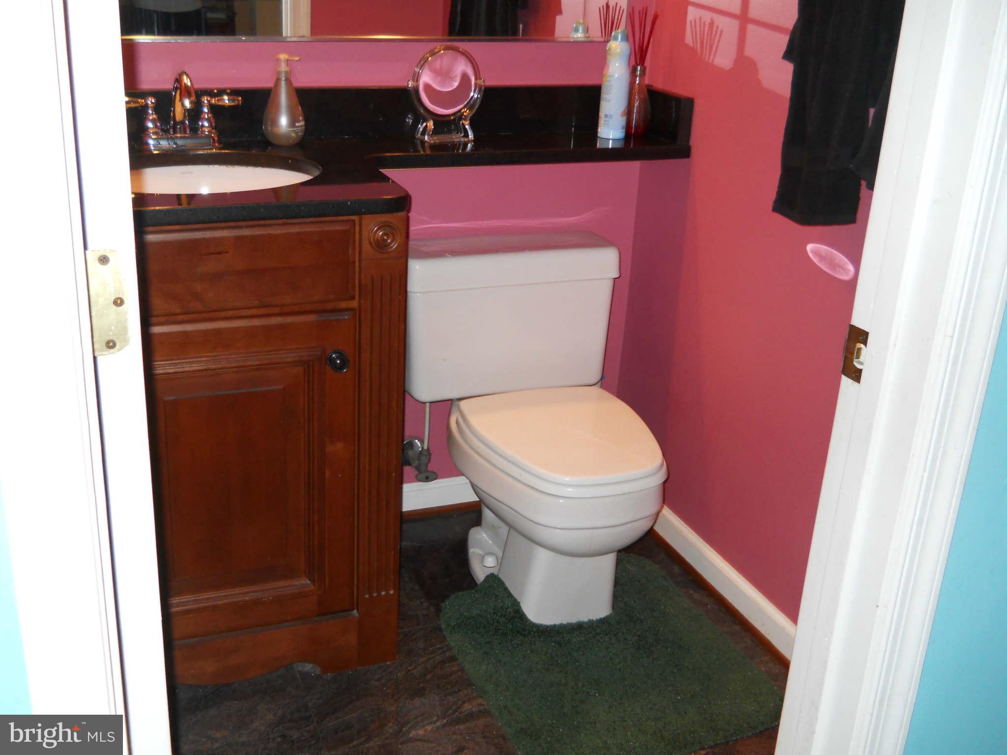 227 Hitching Post Drive Rising Sun, MD 21911 - Photo 10 of 26 a bathroom with a toilet and a sink