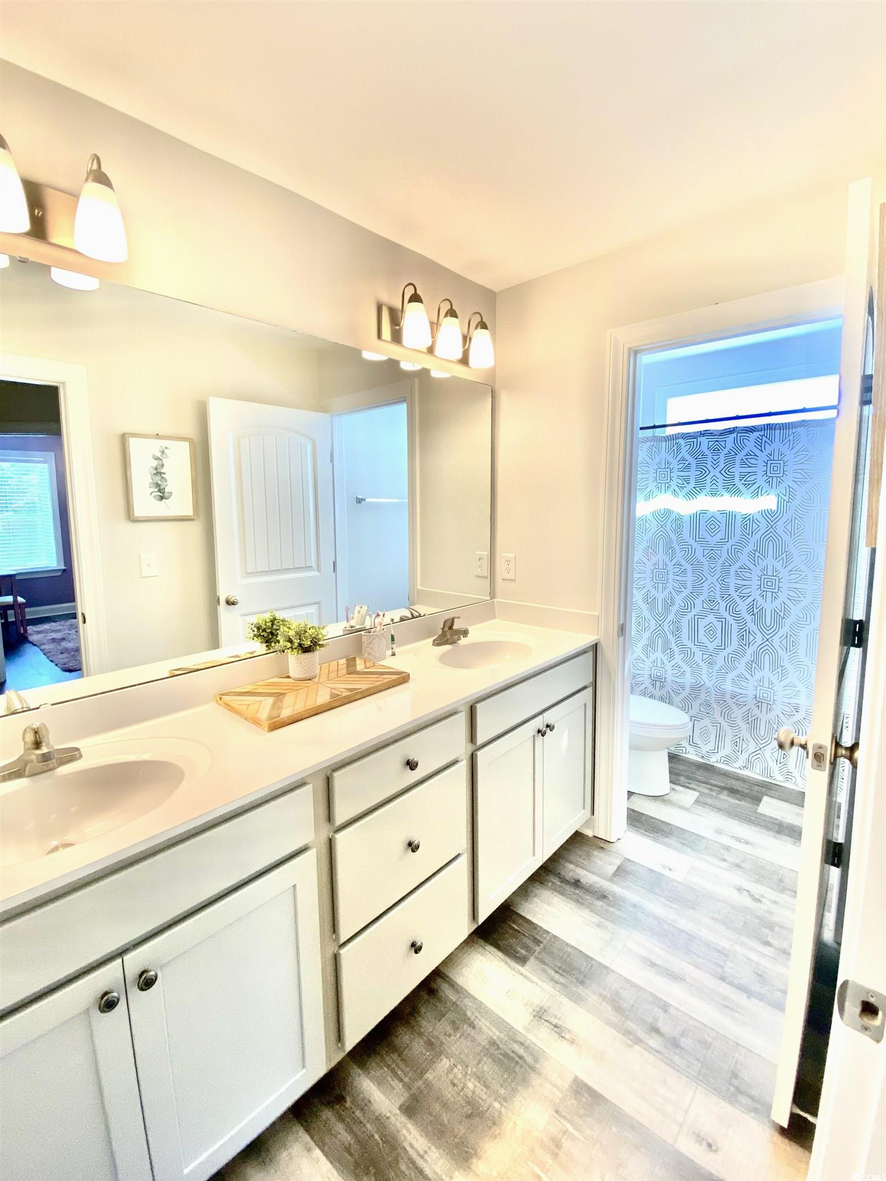 2664 Seaport Circle Georgetown, SC 29440 - Photo 26 of 40 Bathroom featuring double vanity, plenty of natural light, and light wood-style flooring