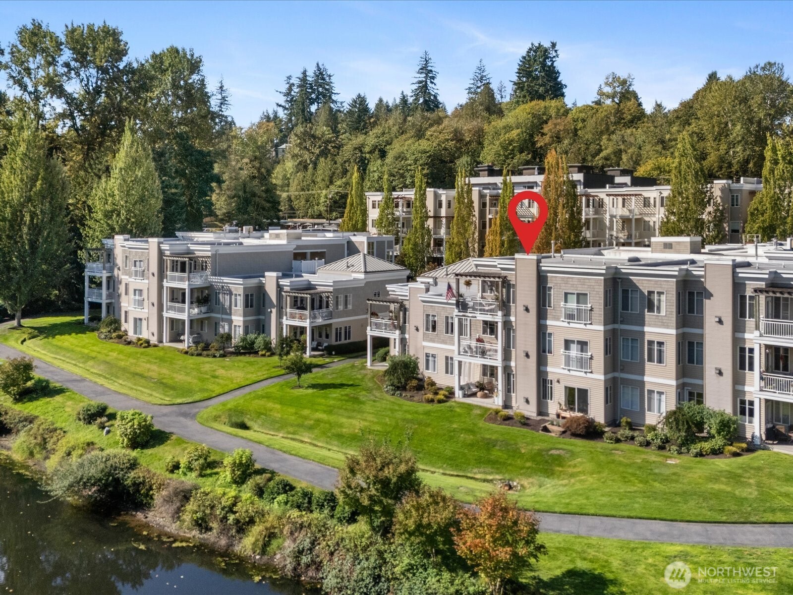 a view of a house with a big yard and potted plants and large trees