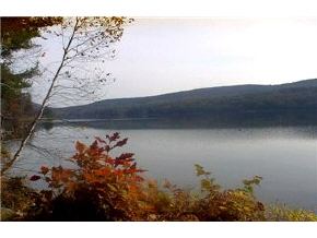 193 Lakeshore Road Thetford, VT 05045 - Photo 6 of 6