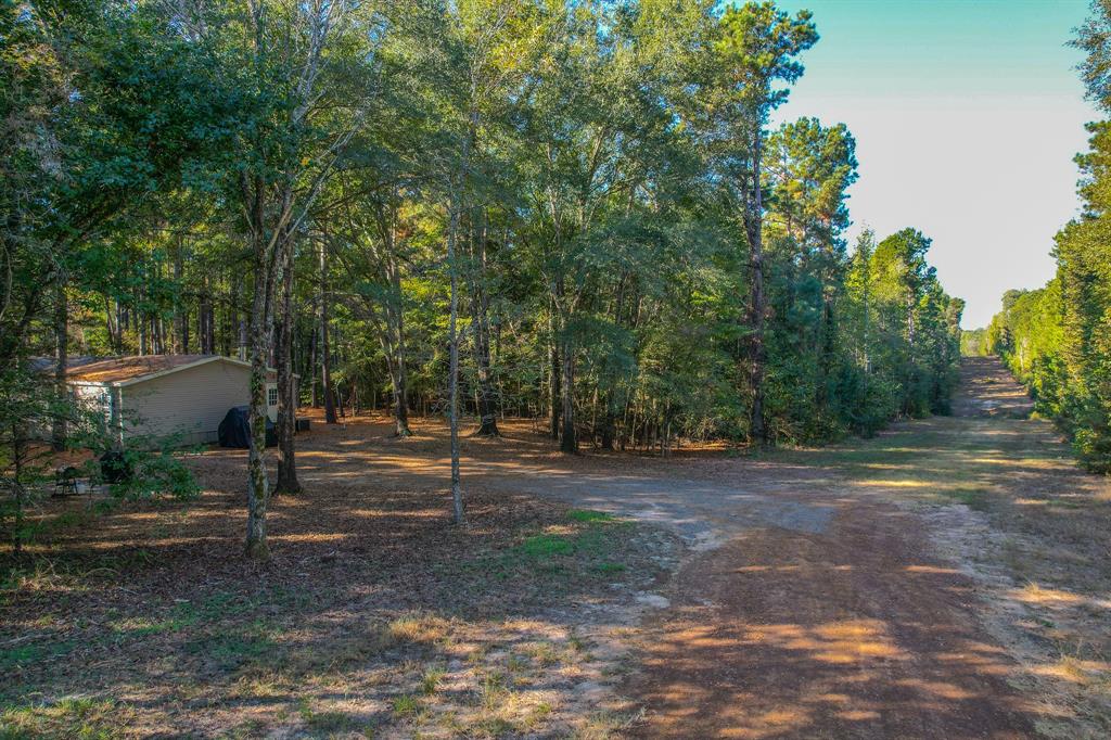 0 County Road 3409 Chandler, TX 75758 - Photo 1 of 38