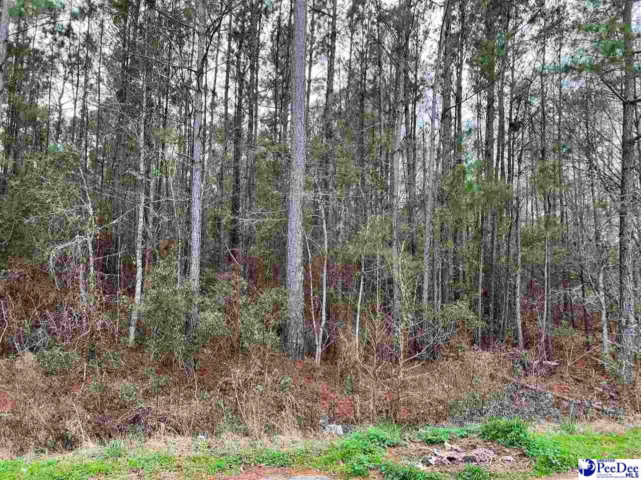 Possom Fork Road Johnsonville, SC 29555 - Photo 1 of 1 Gallery Image 1