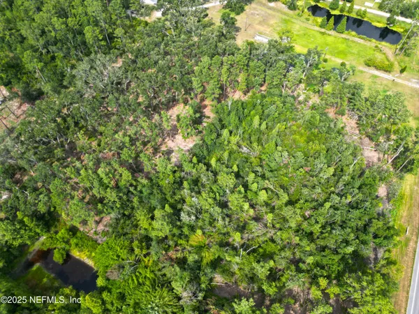 a view of a lush green forest