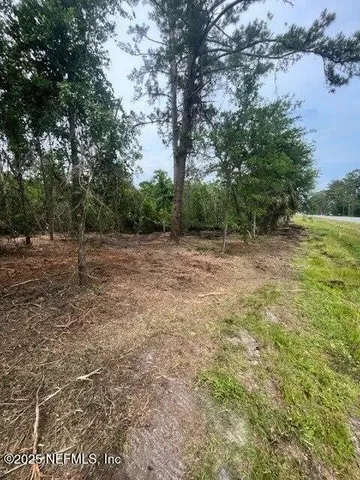 a view of a field with trees in the background