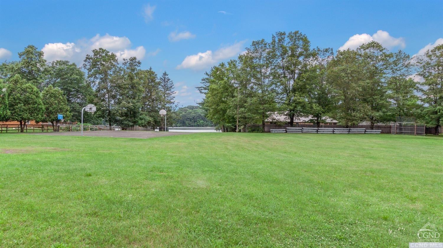 3 Cross Street Copake, NY 12516 - Photo 3 of 5 a view of yard with green space and trees