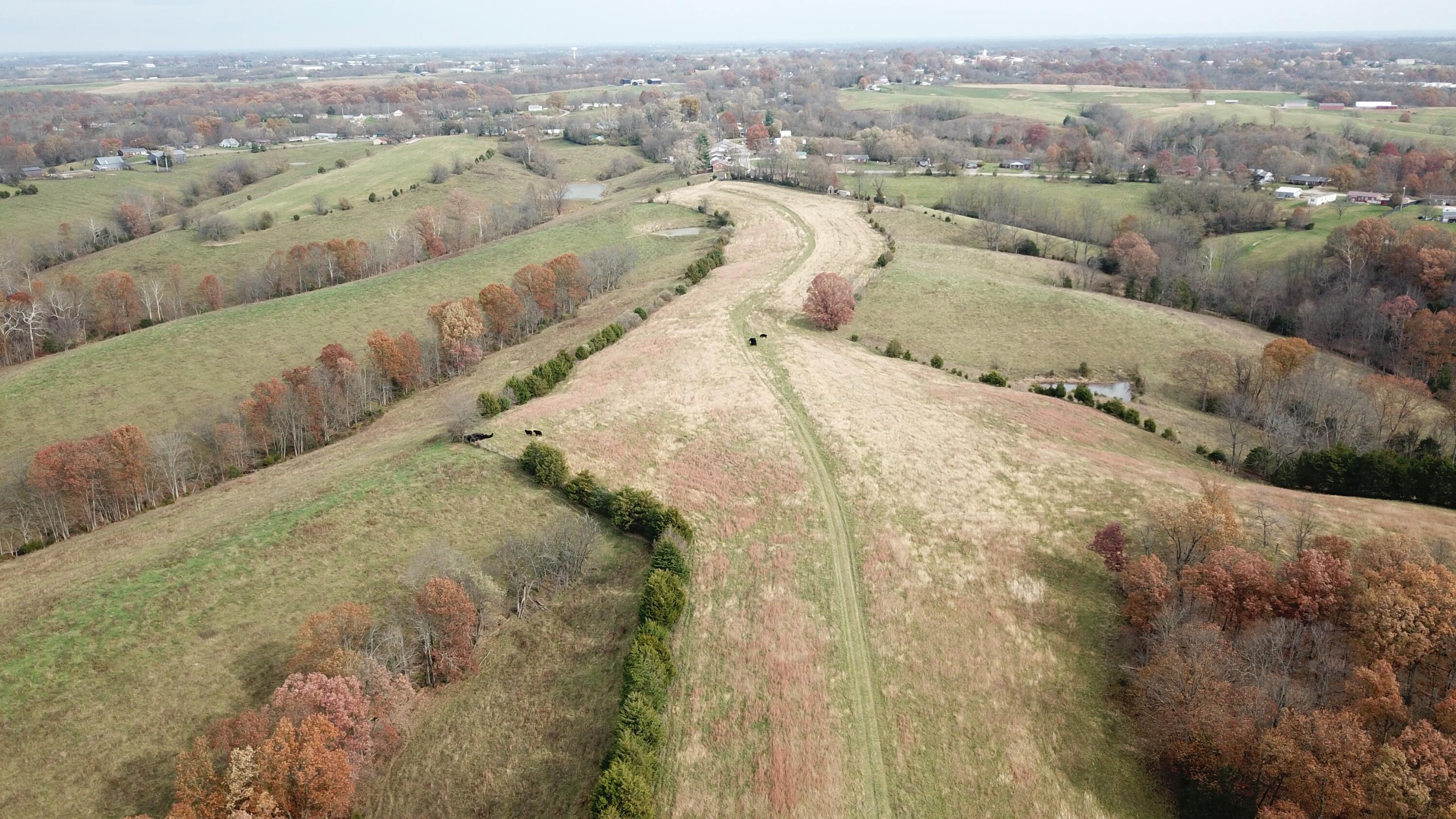 0 Gratz Road Owenton, KY 40359 - Photo 8 of 40
