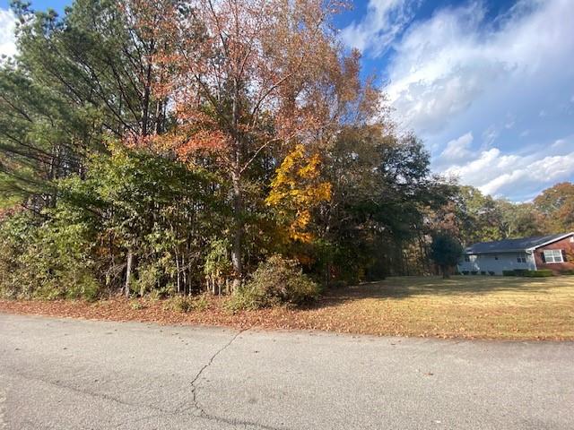 0 Th McDonough, GA 30253 - Photo 3 of 6