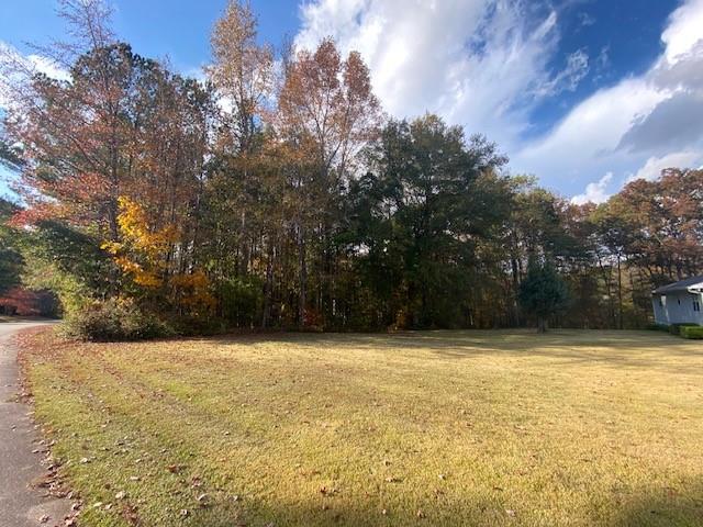 0 Th McDonough, GA 30253 - Photo 4 of 6