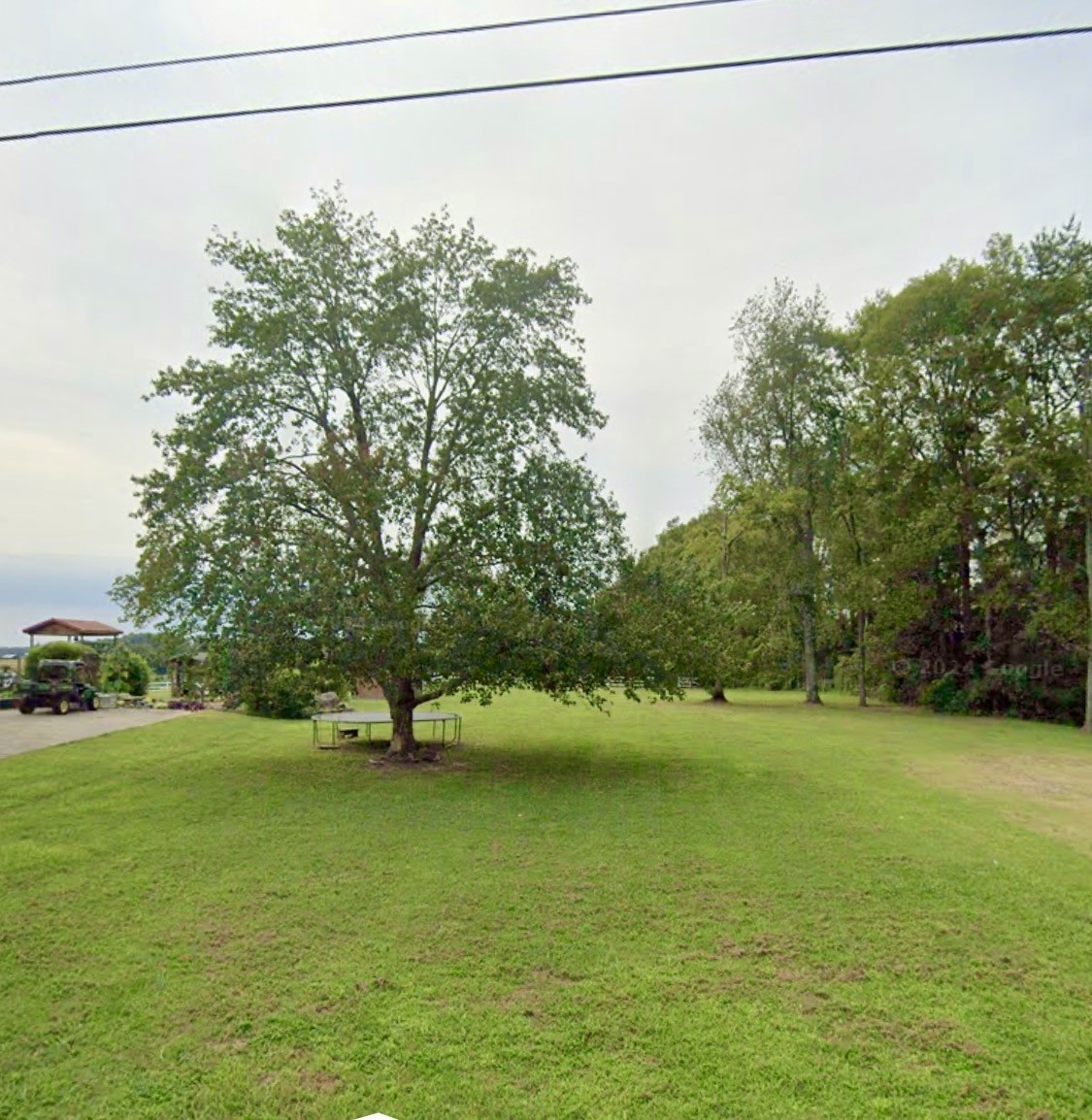 404 South Church Street Adams, TN 37010 - Photo 3 of 18 a view of a yard with a tree