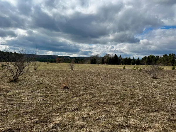 $24,000 | V/l 2-acre South V/l 2-acre S Saddler Road, Chase, MI 49623