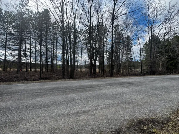 $24,000 | V/l 2-acre South V/l 2-acre S Saddler Road, Chase, MI 49623