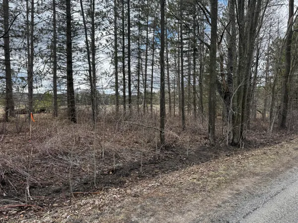 $24,000 | V/l 2-acre South V/l 2-acre S Saddler Road, Chase, MI 49623
