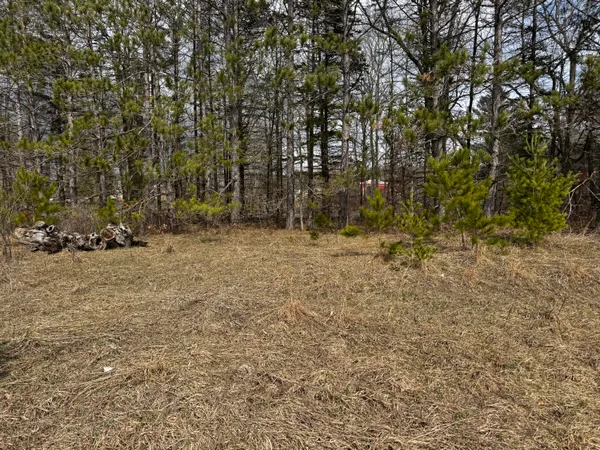 $24,000 | V/l 2-acre South V/l 2-acre S Saddler Road, Chase, MI 49623