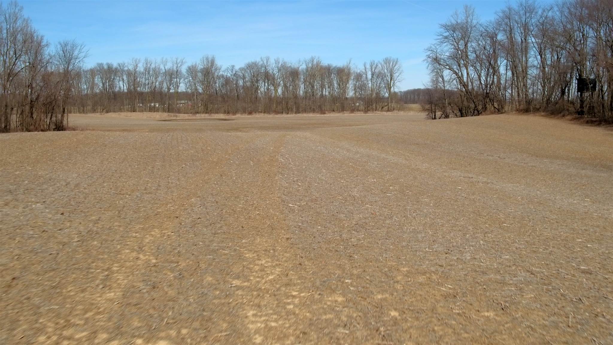 79 County Road Butler, IN 46721 - Photo 15 of 23