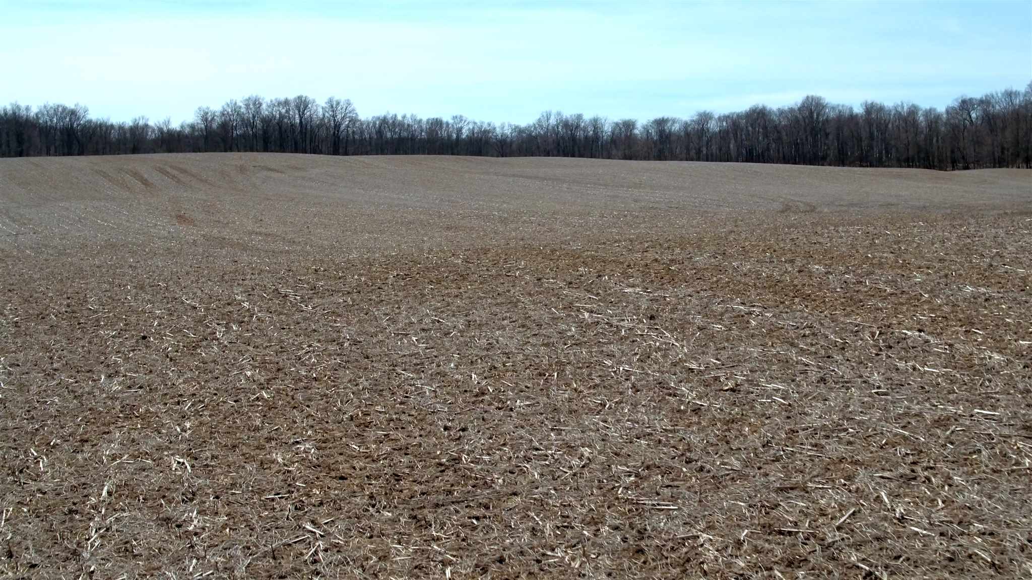 79 County Road Butler, IN 46721 - Photo 9 of 23