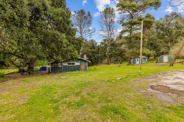 a view of backyard with tree