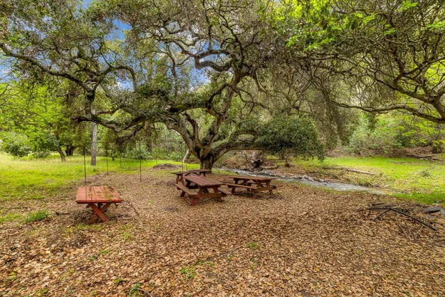 a view of a yard with a tree
