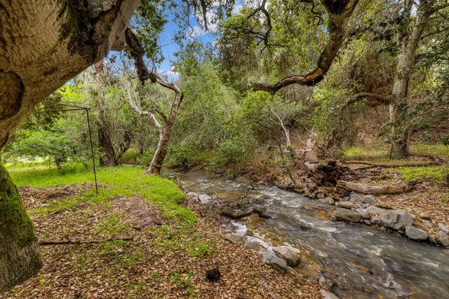 a view of a yard with a tree