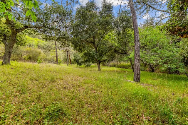 a view of an outdoor space with a yard