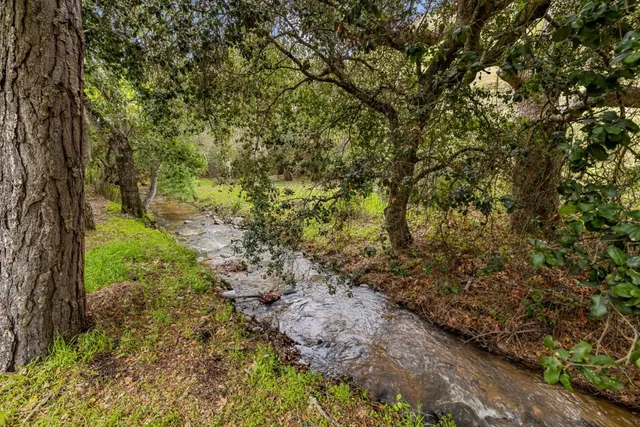 a view of a backyard with wooden fence and a large tree