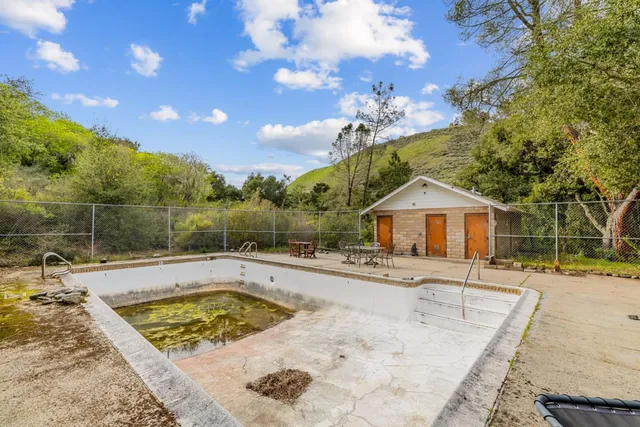 a view of a yard with a tree