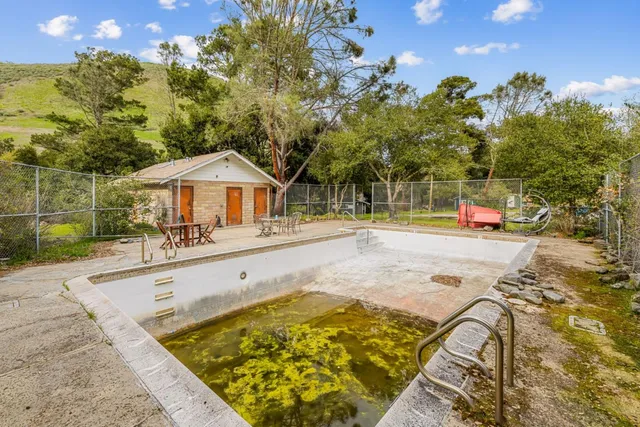 a view of an trees with a yard