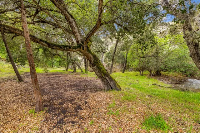 a backyard of a house with lots of green space