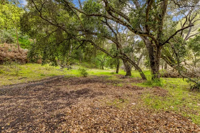 an aerial view of a house with a yard and garden
