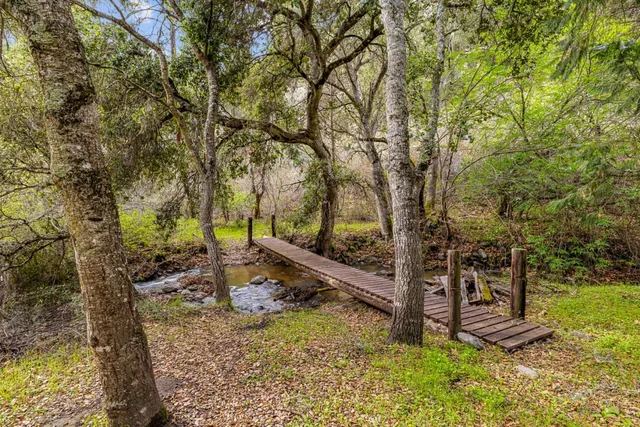 a view of a garden with a fountain