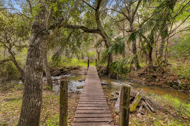 a view of a yard with plants