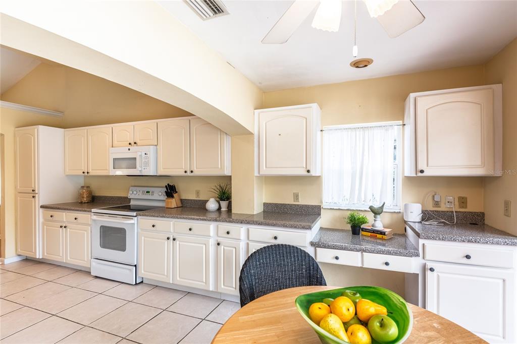 3605 Schefflera Road Tampa, FL 33618 - Photo 14 of 49